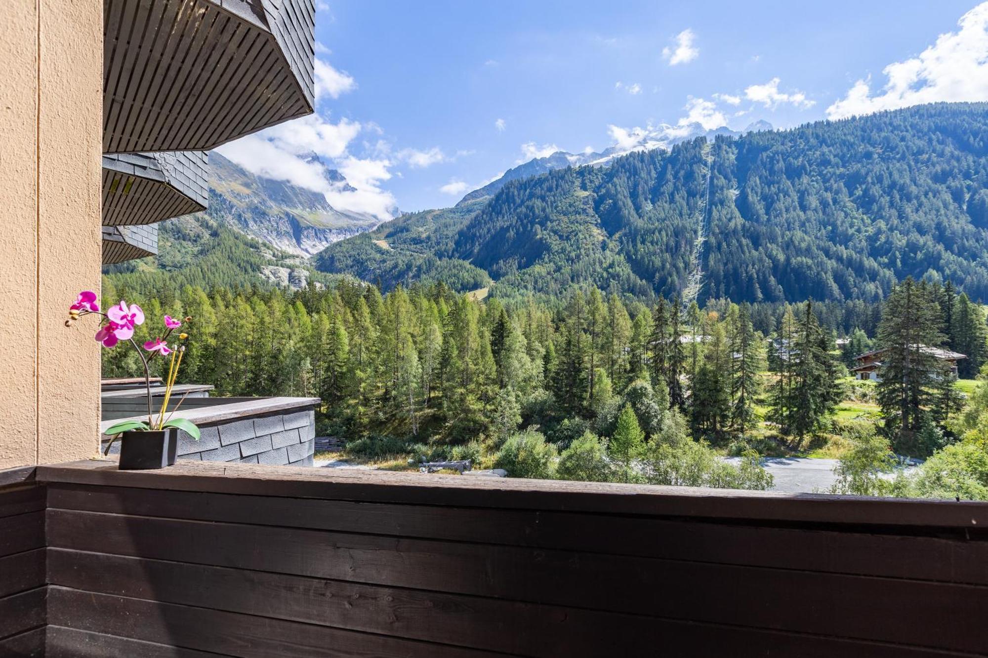 Residence Grand Roc - Campanules 314 Happy Rentals Chamonix Exterior photo